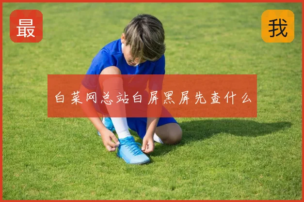 白菜网总站白屏黑屏先查什么