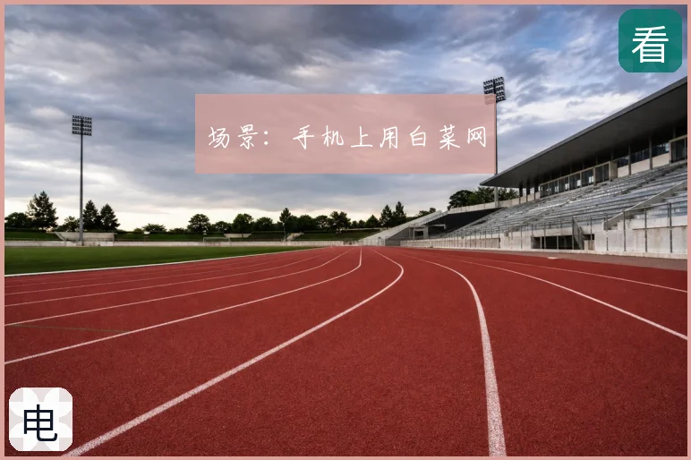 场景:手机上用白菜网